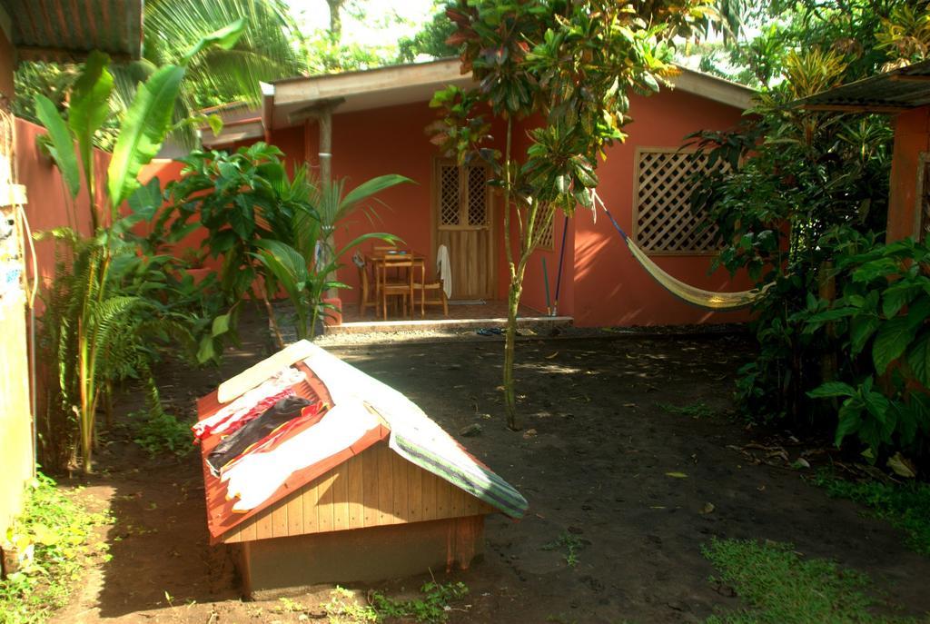 Hotel Don Quichotte Tortuguero Exterior photo