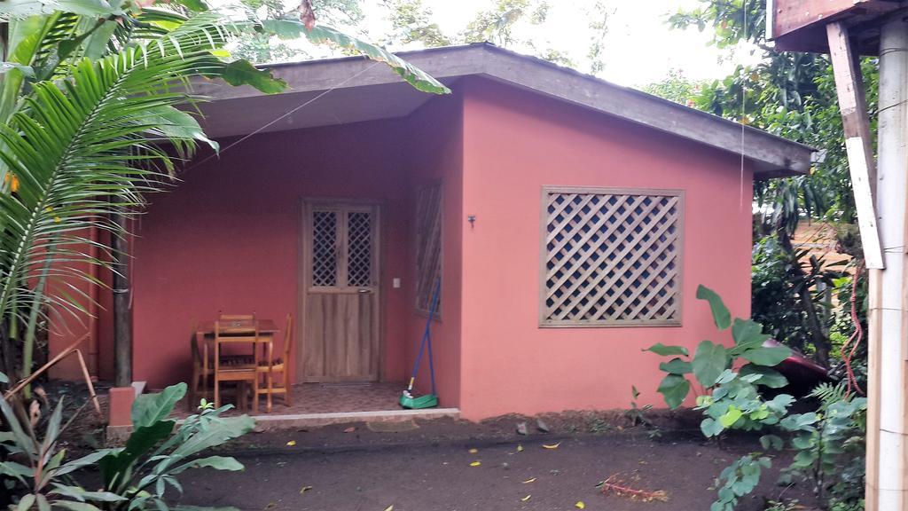 Hotel Don Quichotte Tortuguero Exterior photo